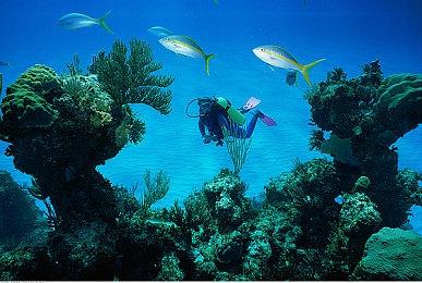 《皇牌空战7：未知空域》Switch版发售 含全DLC机体皮肤